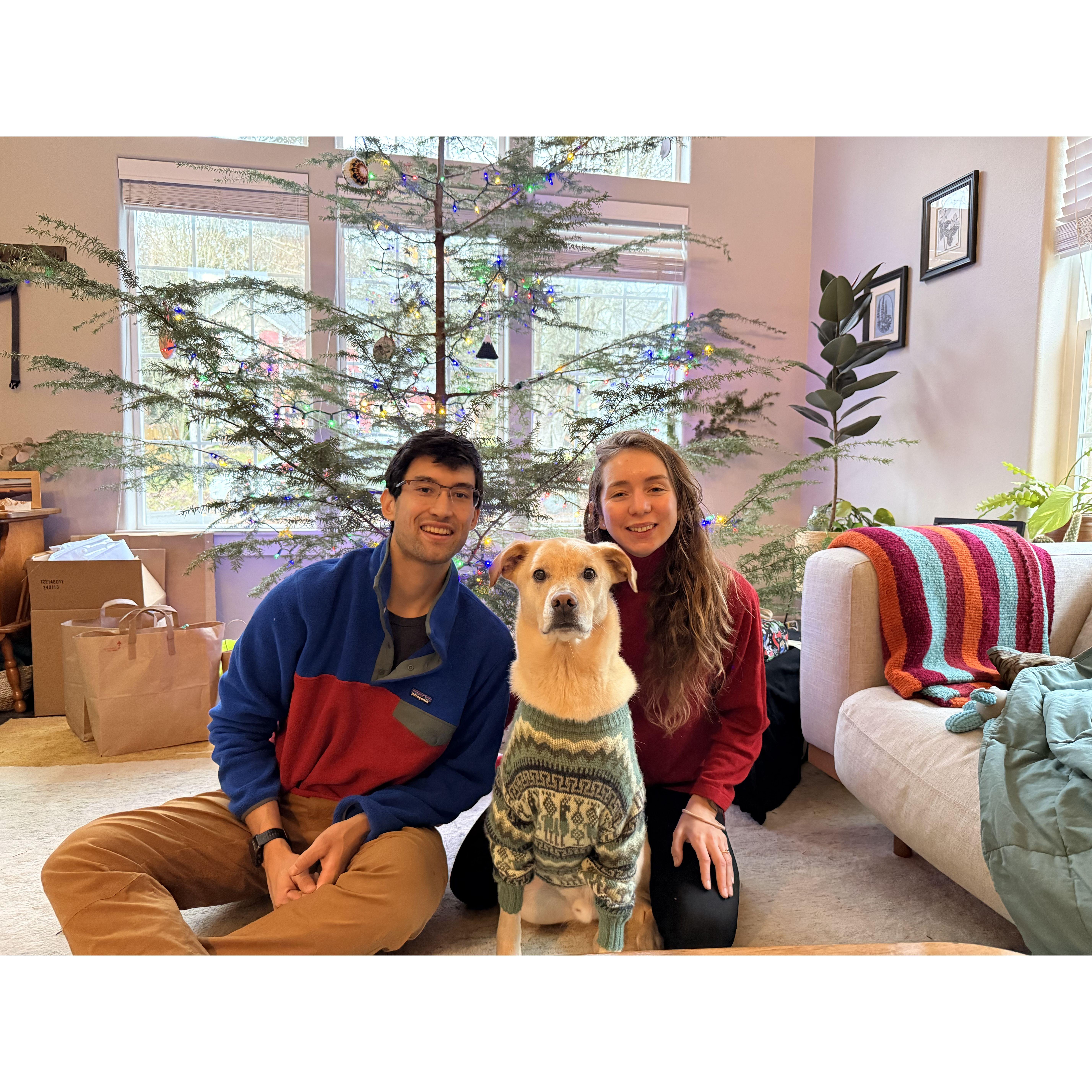 Christmas at Donner's house - Dec 2024