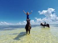 Cponies Beach Horseback Rides