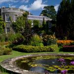 Mount Stewart