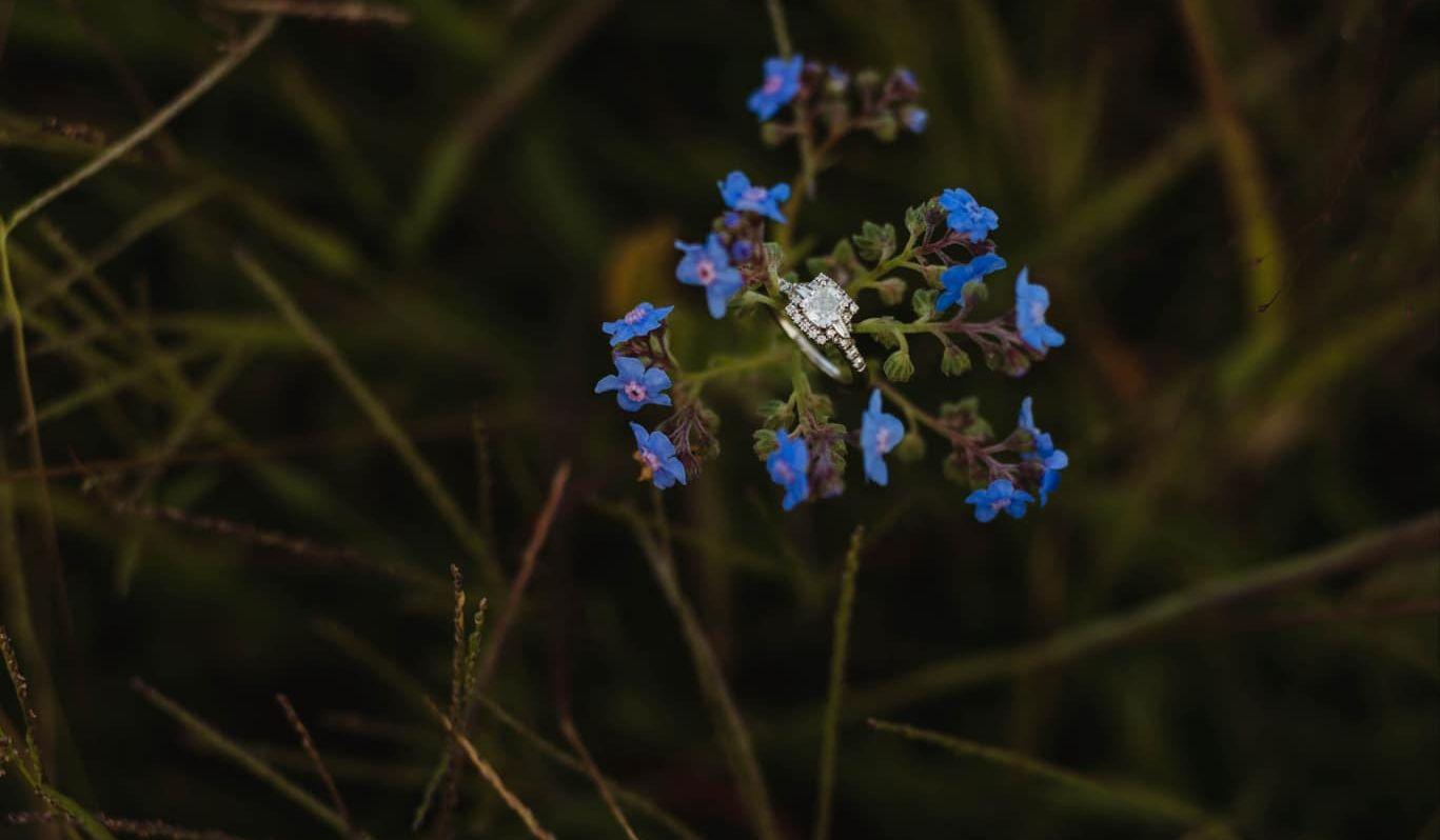 Hero Slideshow Image 0