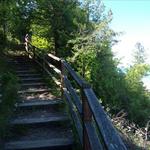 Venture to Peterson Park