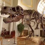 Smithsonian National Museum of Natural History