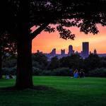 Schenley Park