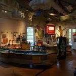 Curious Kids' Discovery Zone