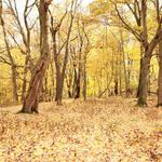 Peebles Island State Park
