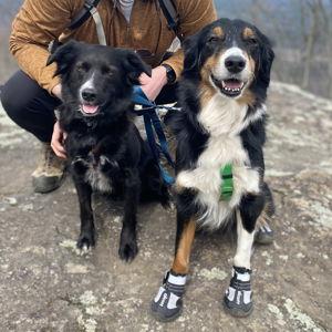 Ellie and Osa Chew Fund