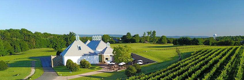 The Wedding Website of Victoria Esilevskaya and Bryson Mingione