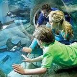 Ripley's Aquarium of the Smokies