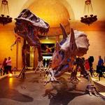 Natural History Museum of Los Angeles County (NHM)