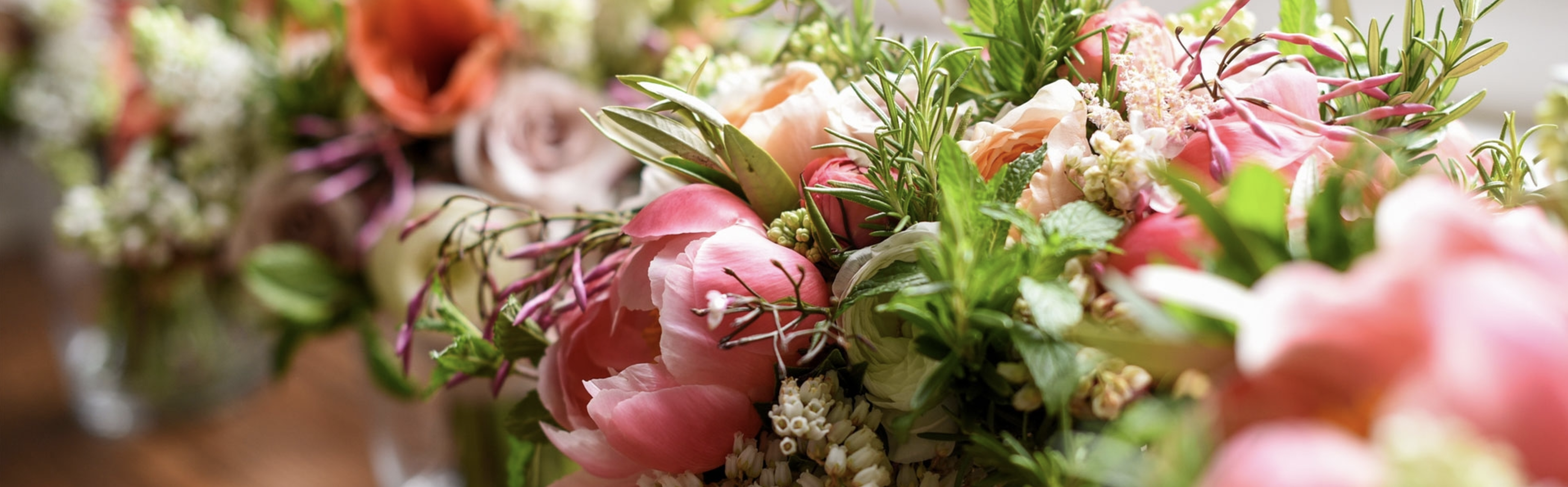 The Wedding Website of Rosemary Ogbonna and Grant Gingerich