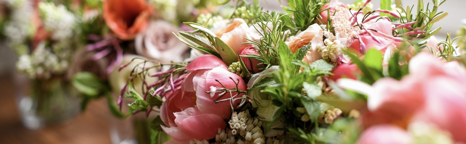 The Wedding Website of Rosemary Ogbonna and Grant Gingerich