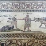 Paphos Mosaics