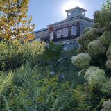 New Morning Market & Vitality Center