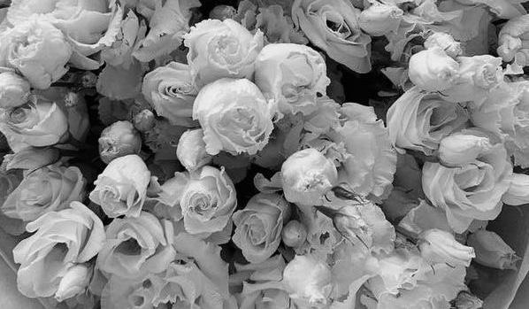 The Wedding Website of sarah ringelheim and tzvi goldman