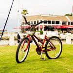 Bike Rental