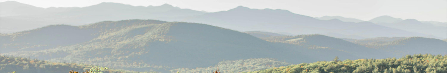 The Wedding Website of Kelley Hussey and Matthew Hallman