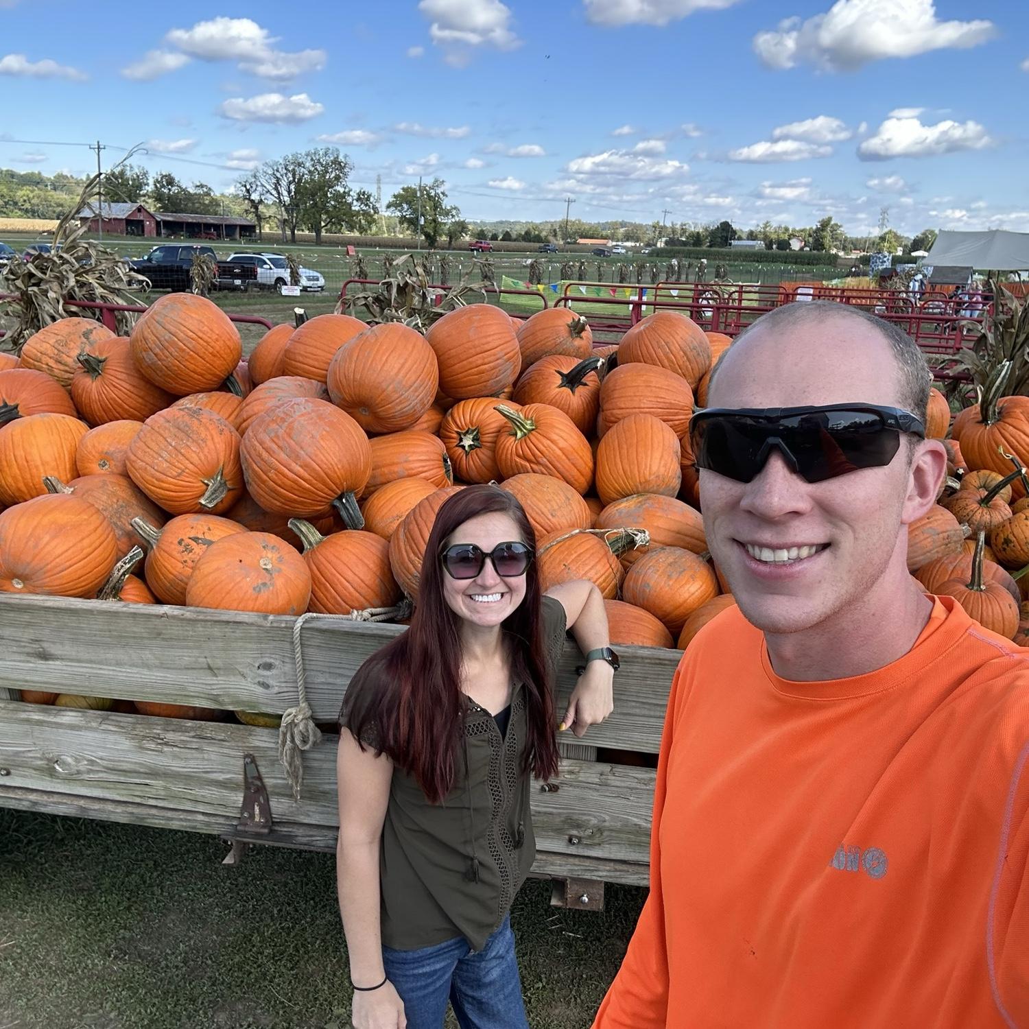 Pumpkin patch
