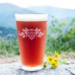 Wicked Weed Brewing