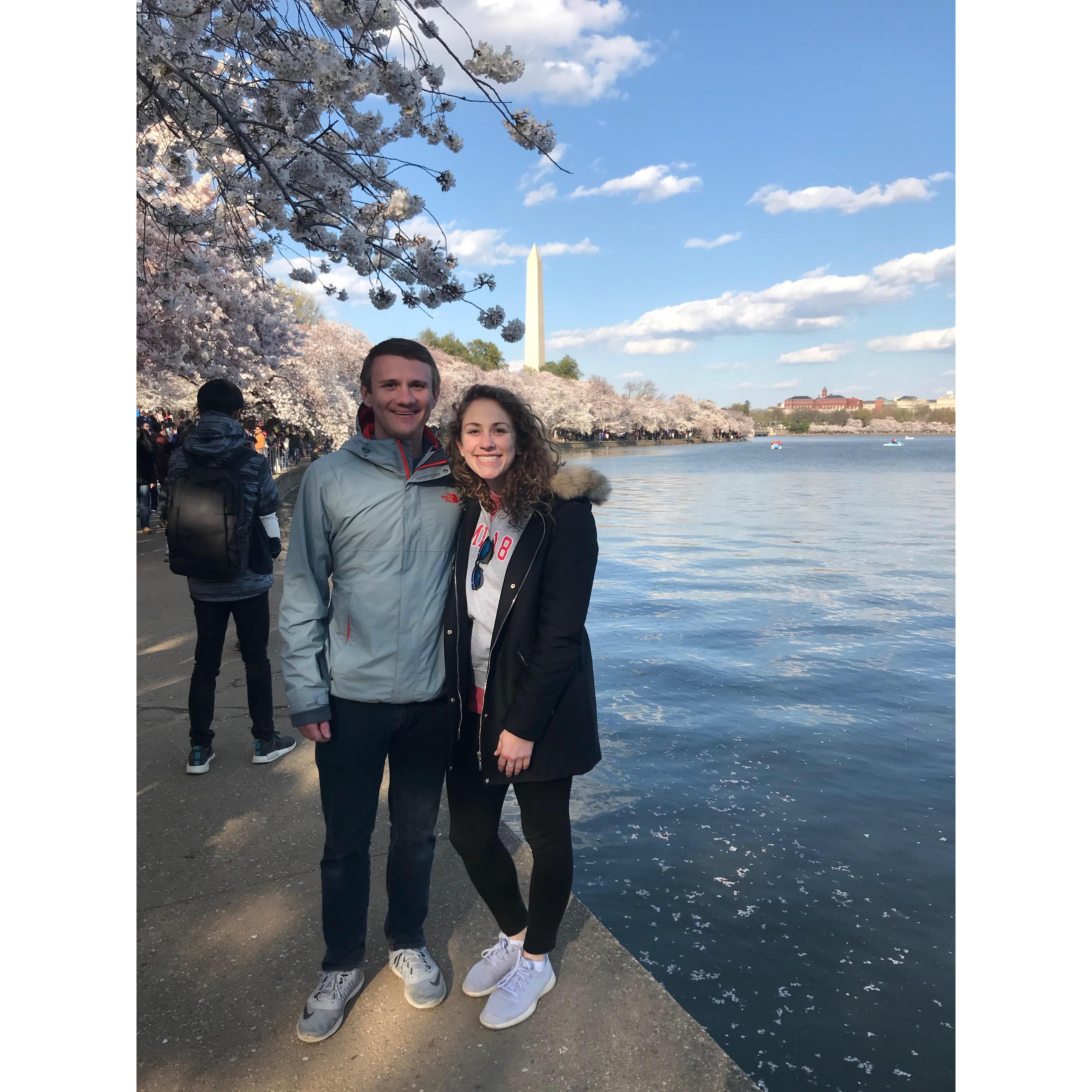 Cherry Blossoms - April 2018