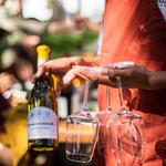 Wine Tasting / 品酒活動