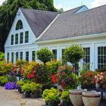 White Flower Farm Store & Gardens