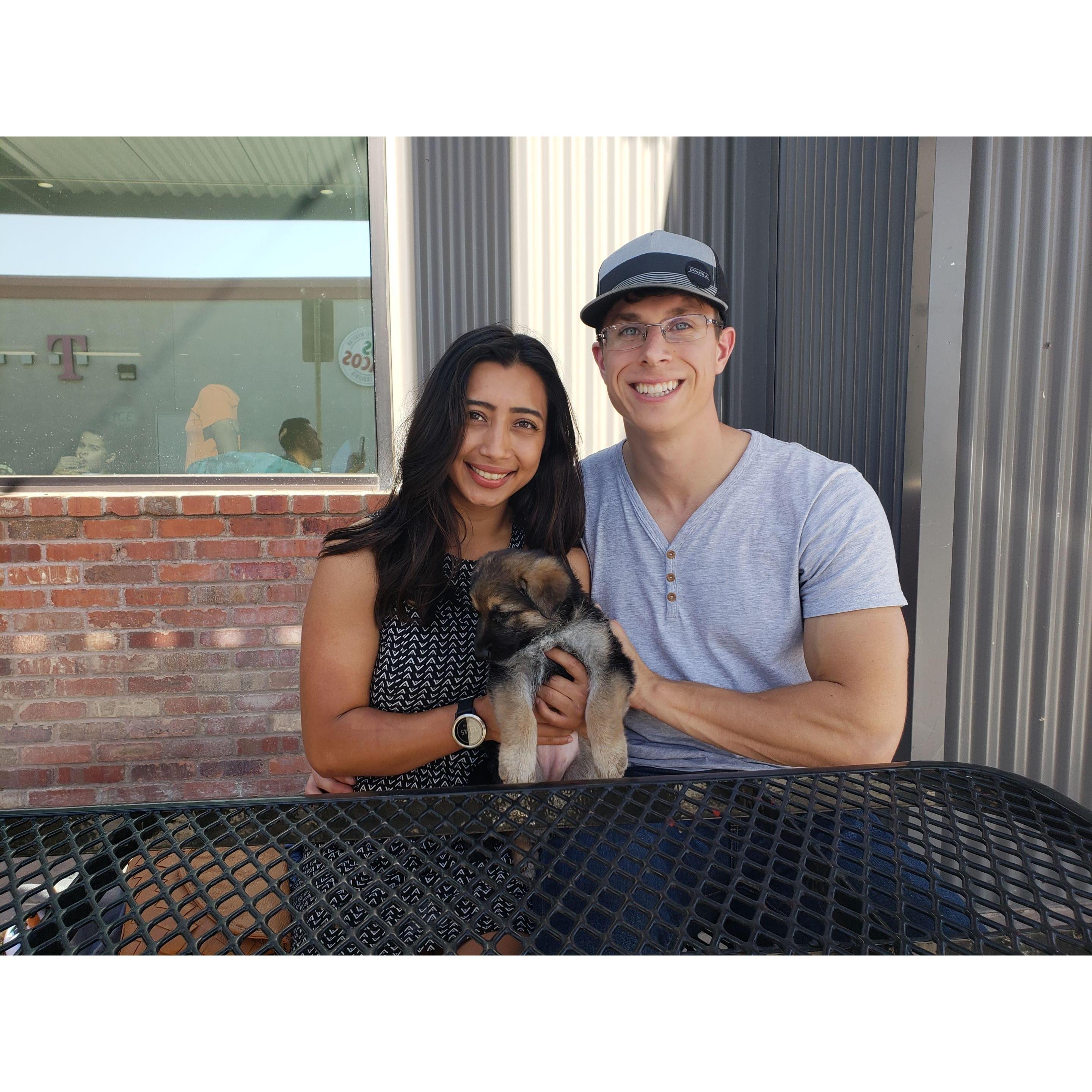 Love at first dog
