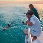 Champagne Sunset Cruise (18+)