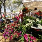 Palafox Market Saturdays from 9-2