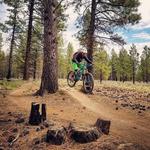 Phil's Trail Mountain Biking