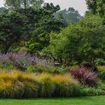Mendocino Coast Botanical Gardens