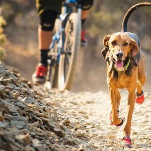 Top Rope™ Collar - Large / Twilight Gray