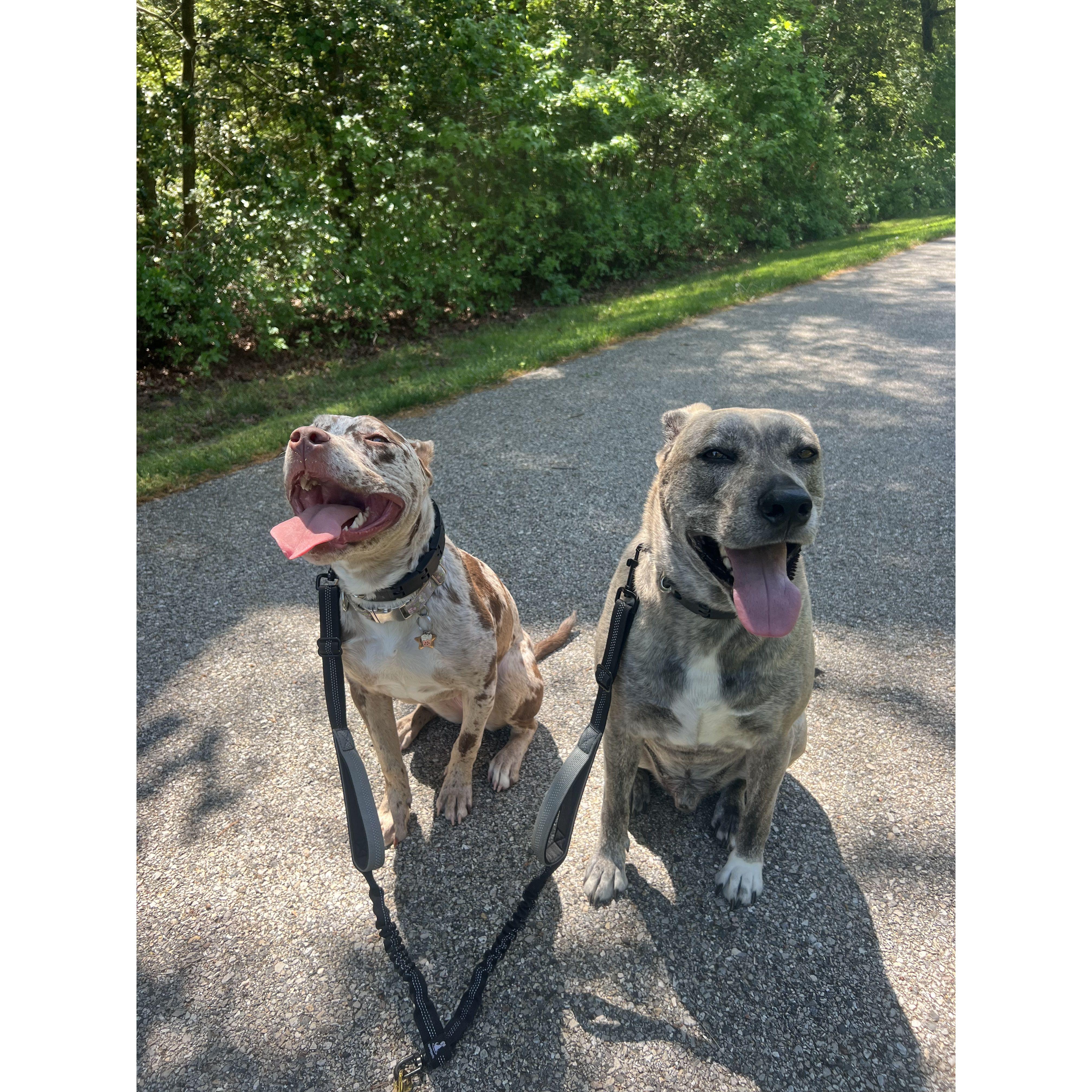 Our babies, Boba and Tucker