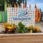 Ponce Inlet Watersports - Manatee & Dolphin Boat Tours