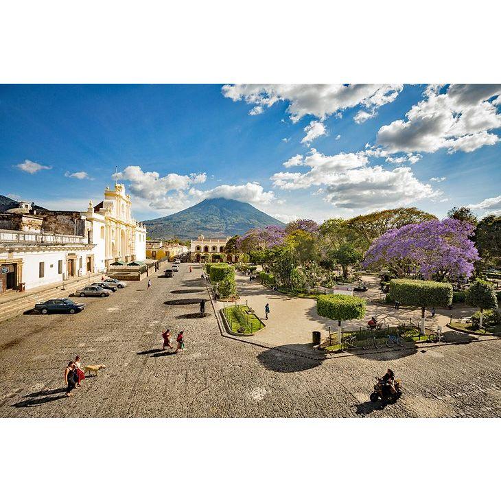 Parque Central y Catedral