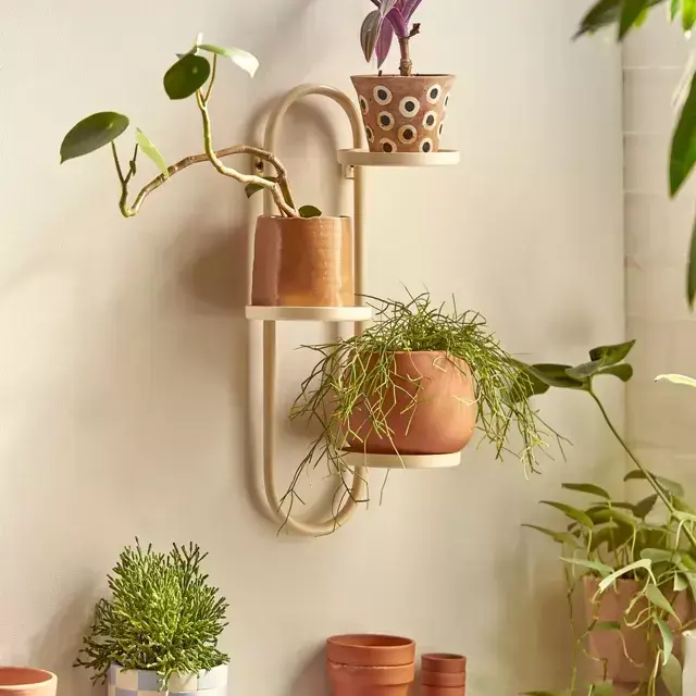 Wall Mounted Plant Stand