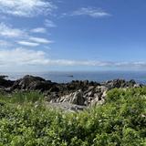 Scenic walk along Ocean Avenue