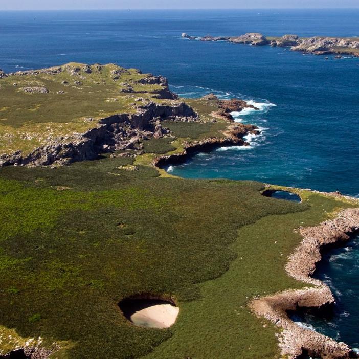 Marietas Islands & Hidden Beach. This is another good snorkeling spot closer to Punta Mita.