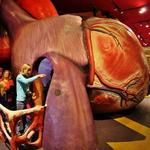 The Franklin Institute