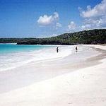 Vieques Island