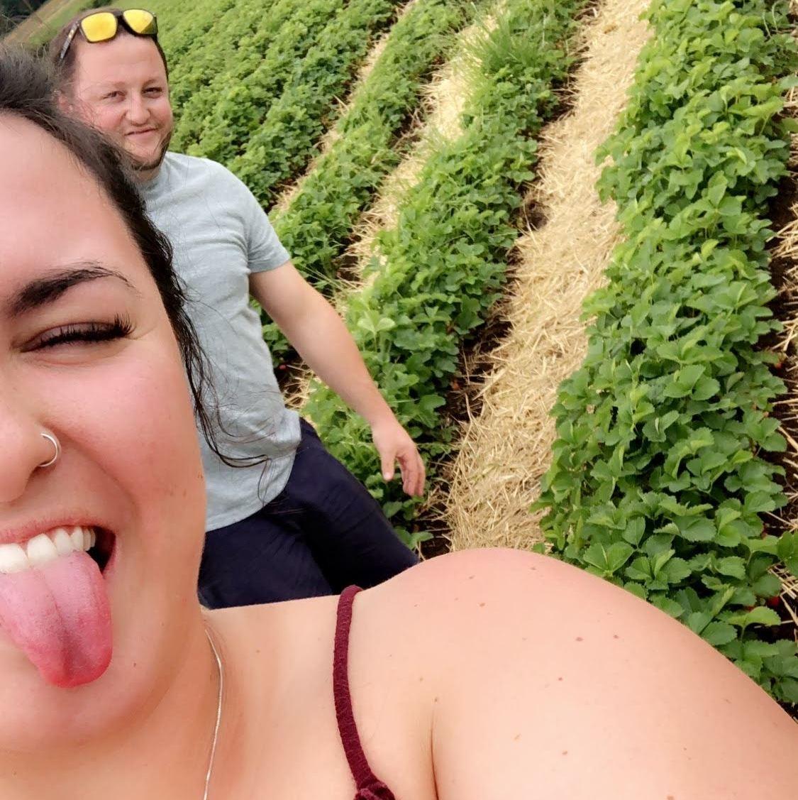 June 3, 2018. Strawberry Picking.