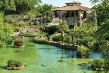 Japanese Tea Garden