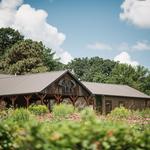 Three Oak Vineyards and Winery