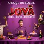 Cirque du Soleil's Joyà