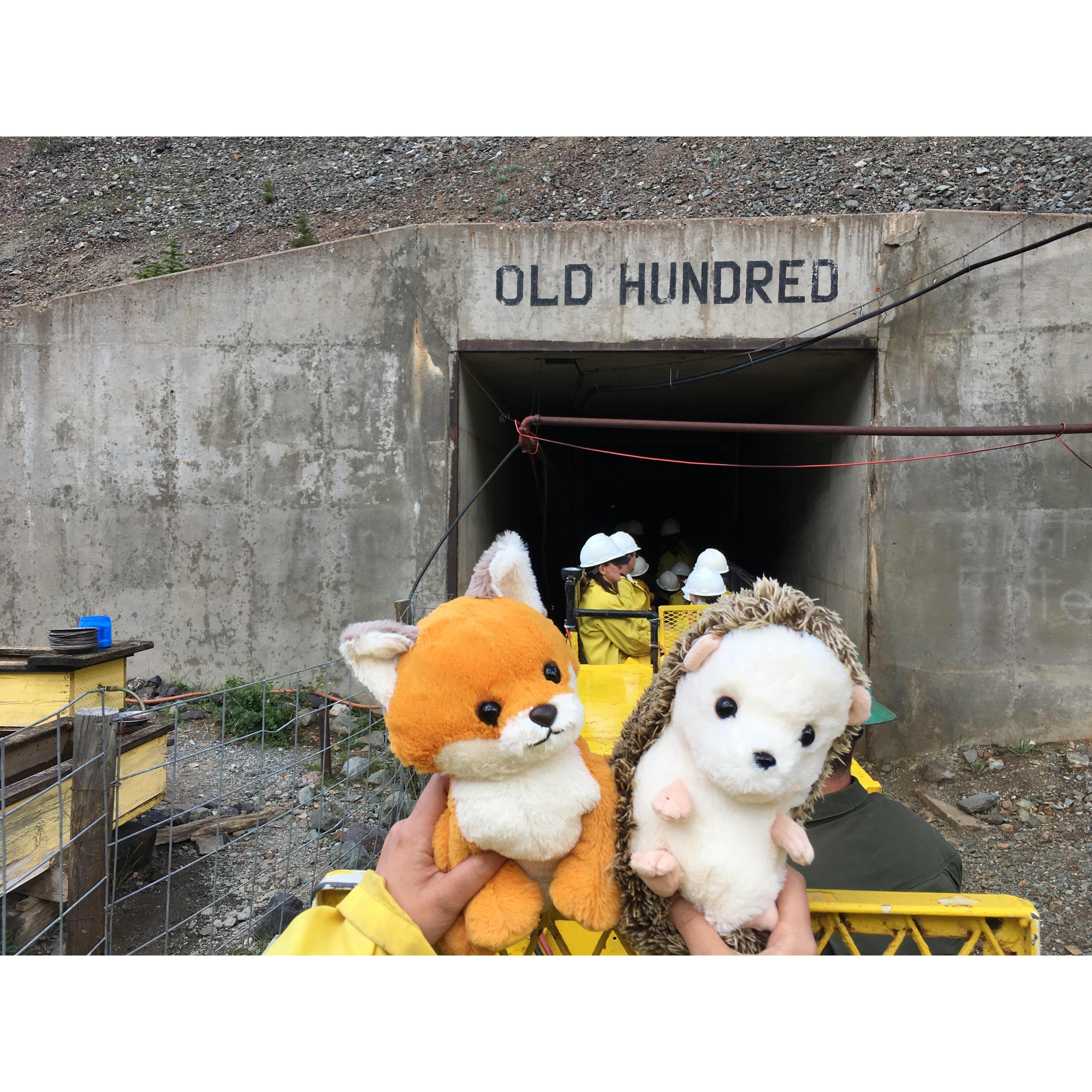 The Old Hundred gold mine tour, highly recommend, they demonstrate the use of old mining tools.