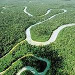 Amazon Jungle & River