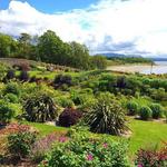 Tea & Gardens at Lissadell House