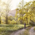 Hudson Highlands Nature Museum