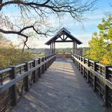 Arbor Hills Nature Preserve