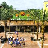 Audubon Zoo