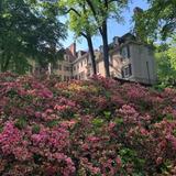 Winterthur Museum, Garden & Library